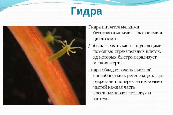 Кракен маркетплейс отзывы