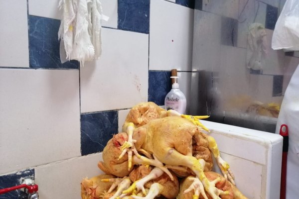 Что такое кракен плейс
