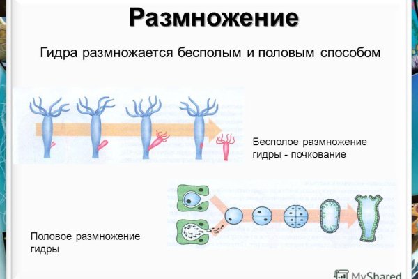 Кракен сайт store