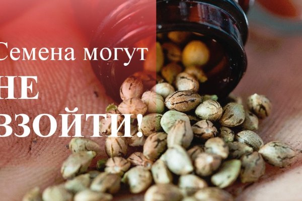 Актуальное зеркало на кракен