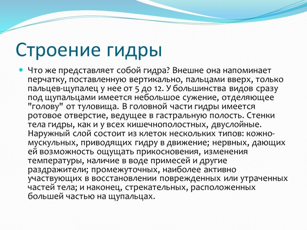 Ссылка на кракен kr2web in
